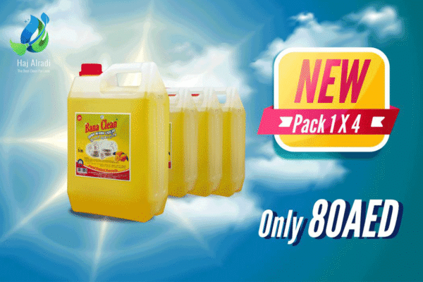 Pack Bana Clean Dish Wash 1x5L
